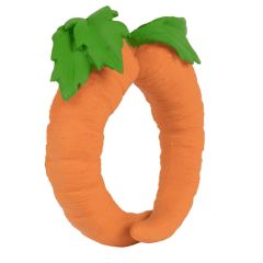 Cathy the Carrot