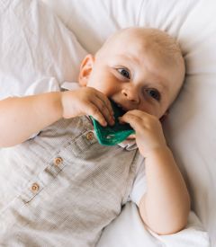 Chlorophyll Leaf Teether