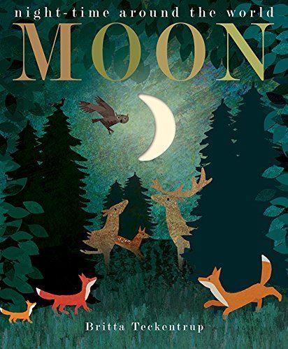 Moon - Night Time Around the World Paperback