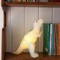 Night Light - Dinosaur