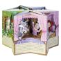 Little Red Riding Hood Carousel Storybook
