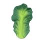 Oli & Carol Kendall the Kale Teether