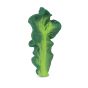 Oli & Carol Kendall the Kale Teether