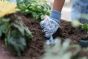 Gardening Gloves Forest Friends