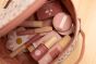Beauty Case