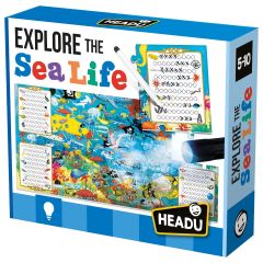 Explore the Sealife Puzzle with Torch and Notebook