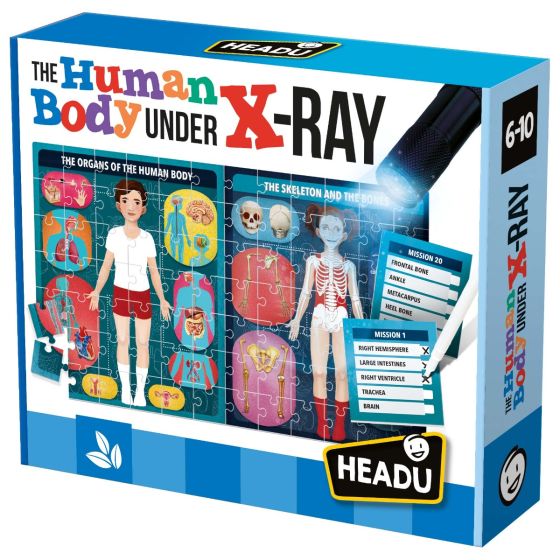 X Ray Human Body Puzzle