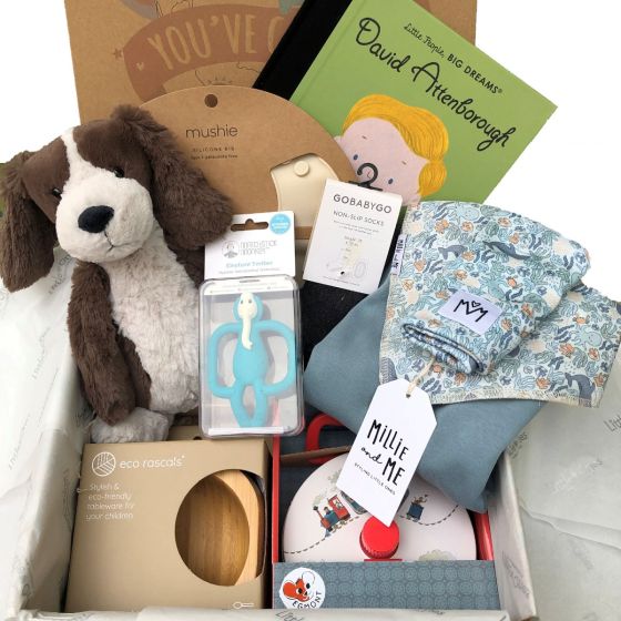 The Ultimate Baby Box