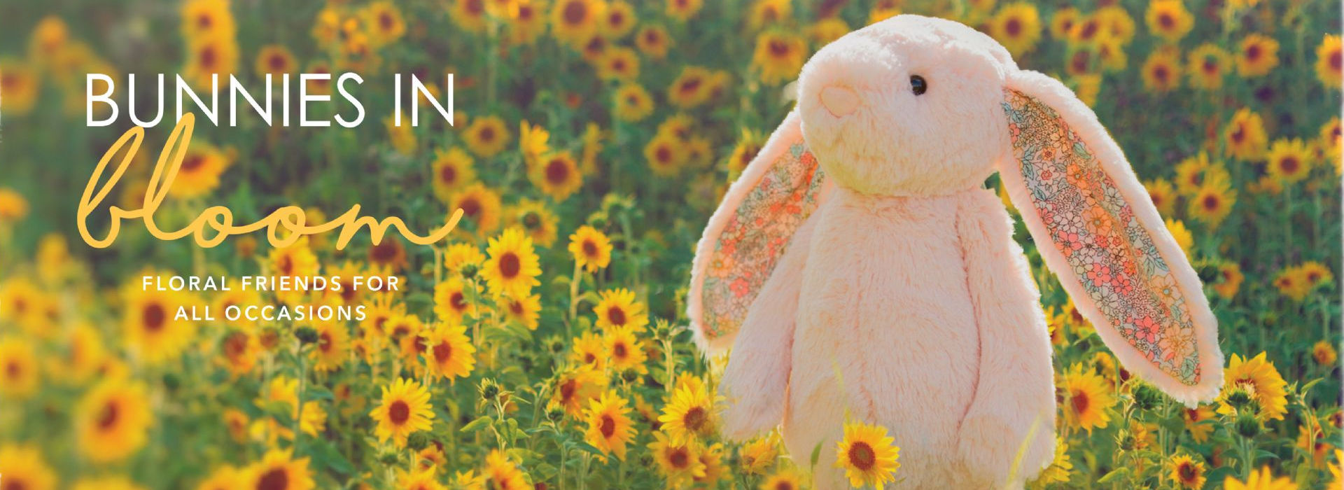 Little Ones Store Buy Wooden Toys Ireland Buy Baby Gifts Ireland